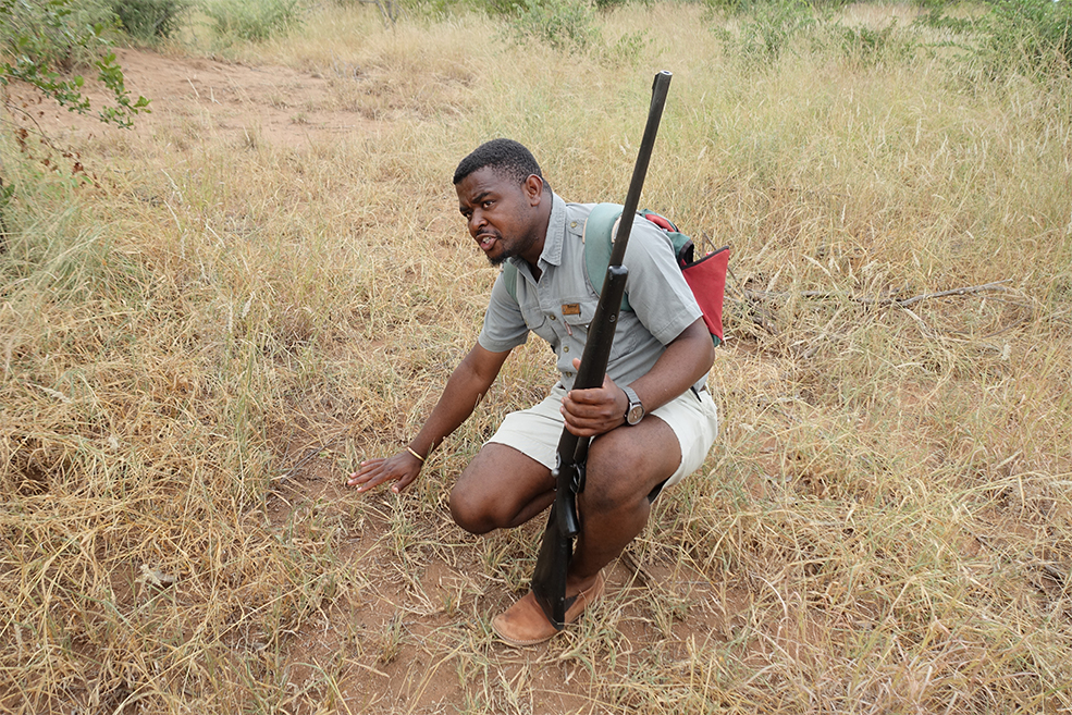 Christory, Bushwhacked - Sinhle crouches with rifle in hand to identify tracks in the Timbavati Game Reserve